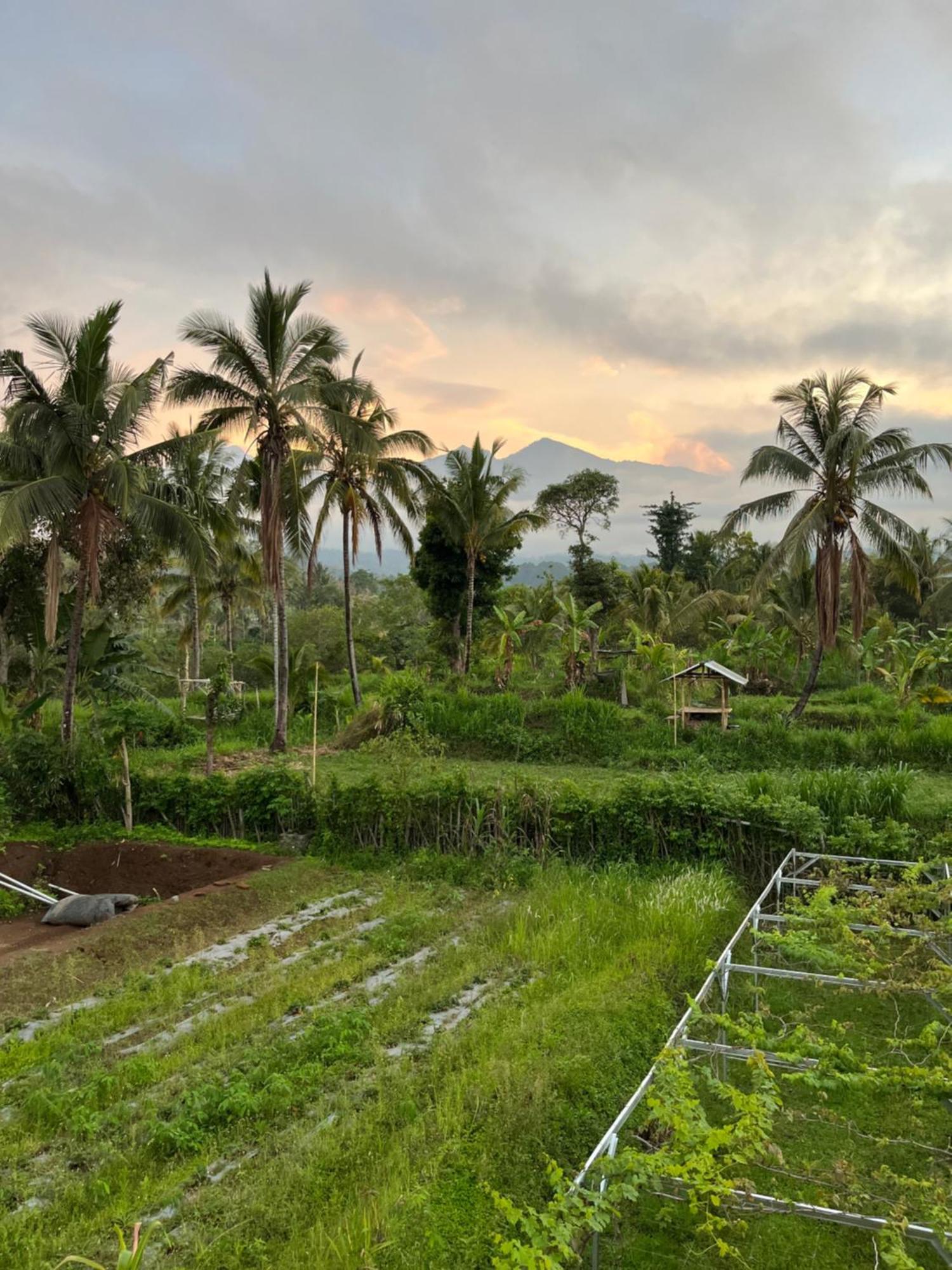 Rinjani Eco Villa Senaru Bayan Kültér fotó
