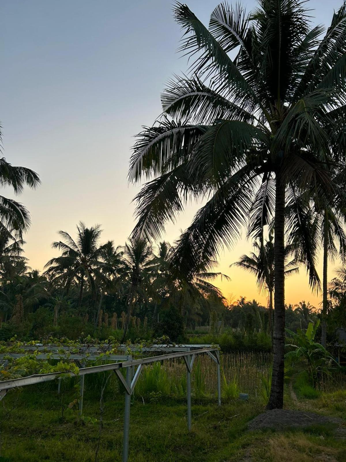 Rinjani Eco Villa Senaru Bayan Kültér fotó