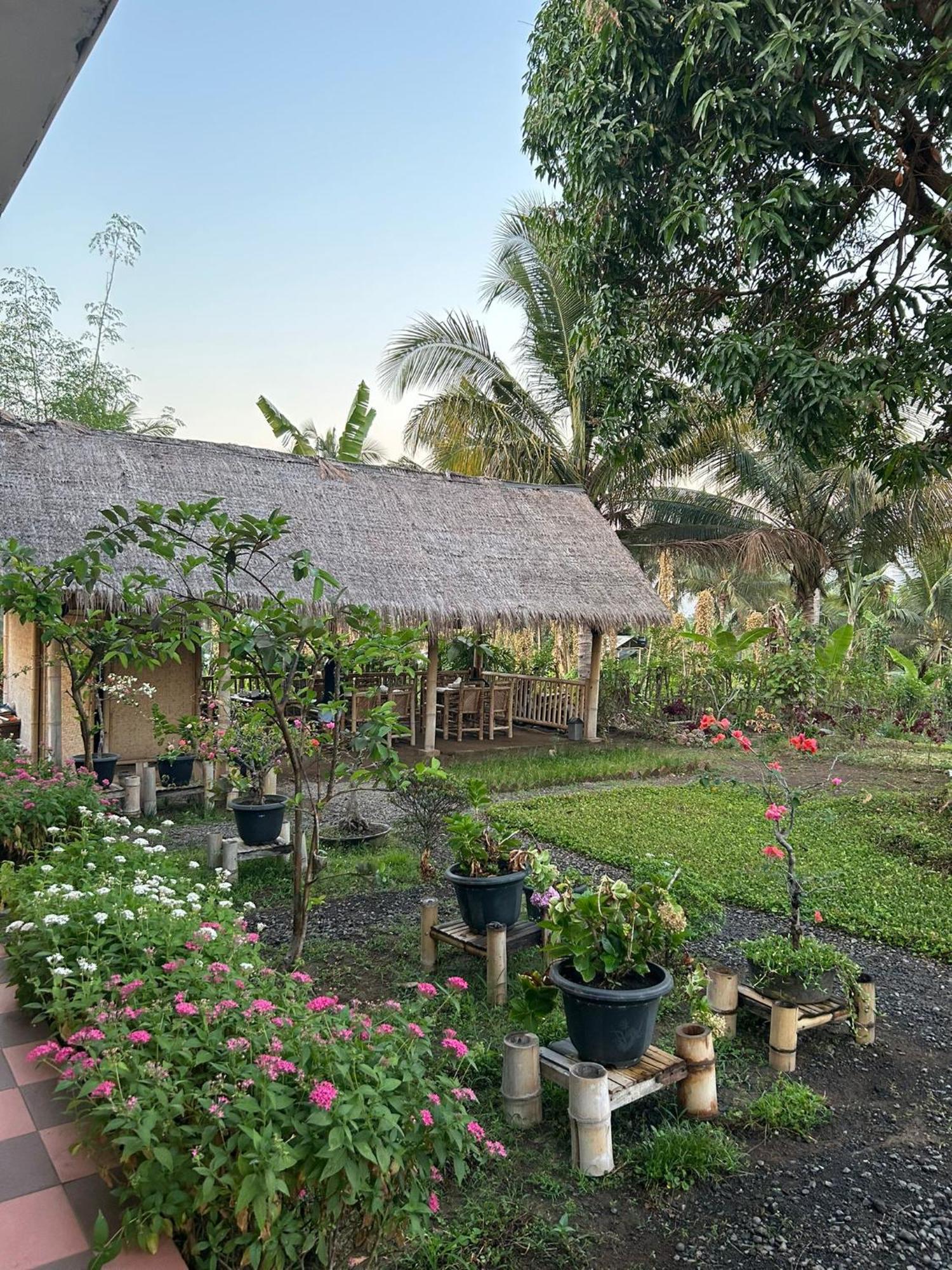 Rinjani Eco Villa Senaru Bayan Kültér fotó