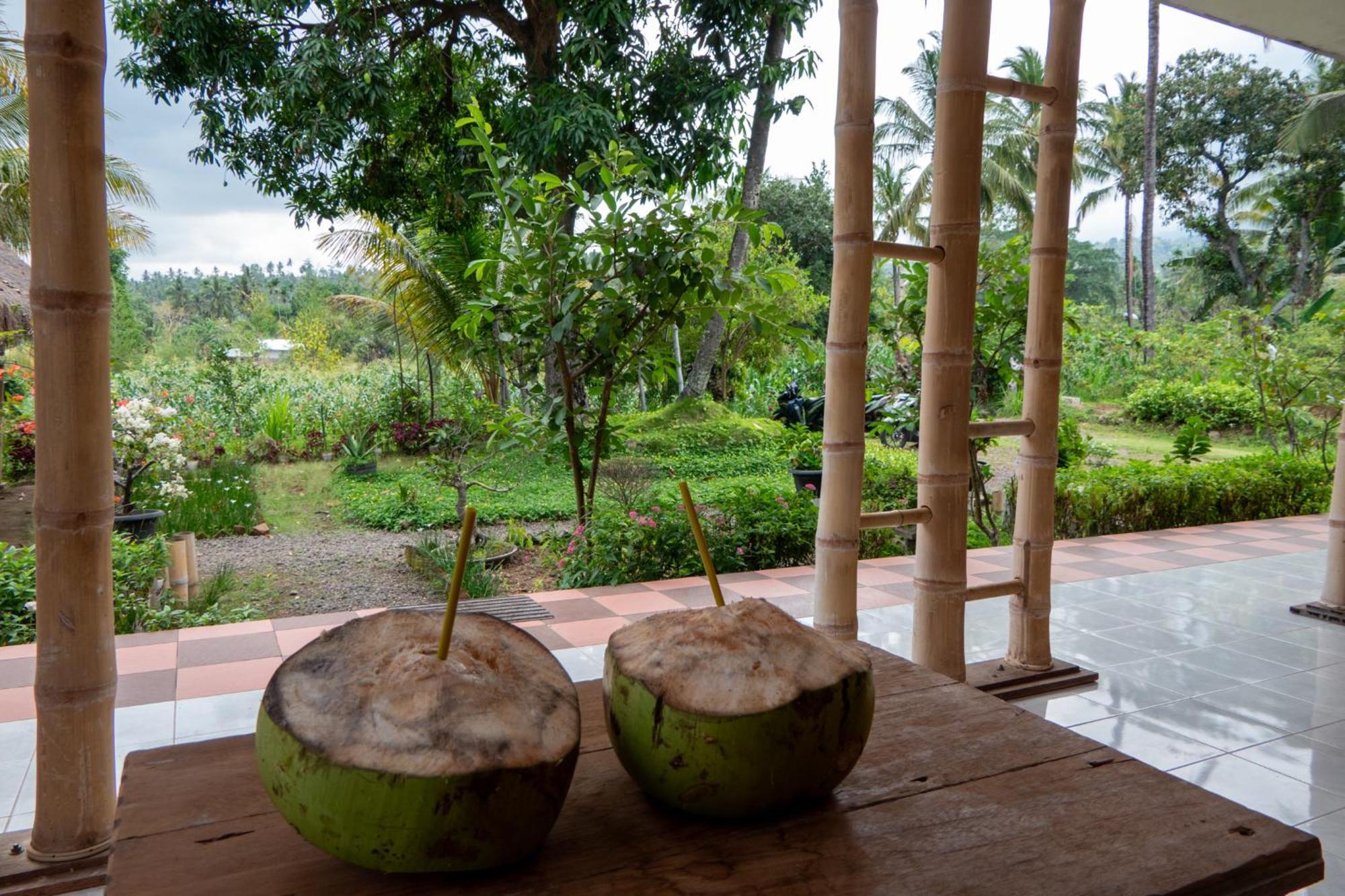 Rinjani Eco Villa Senaru Bayan Kültér fotó